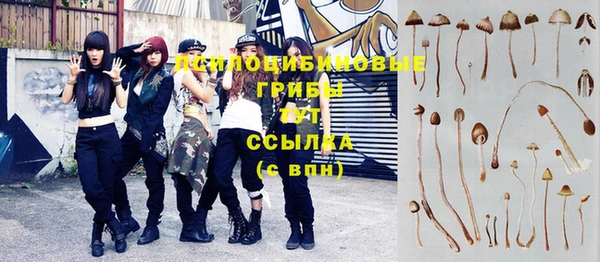 мдпв Балахна