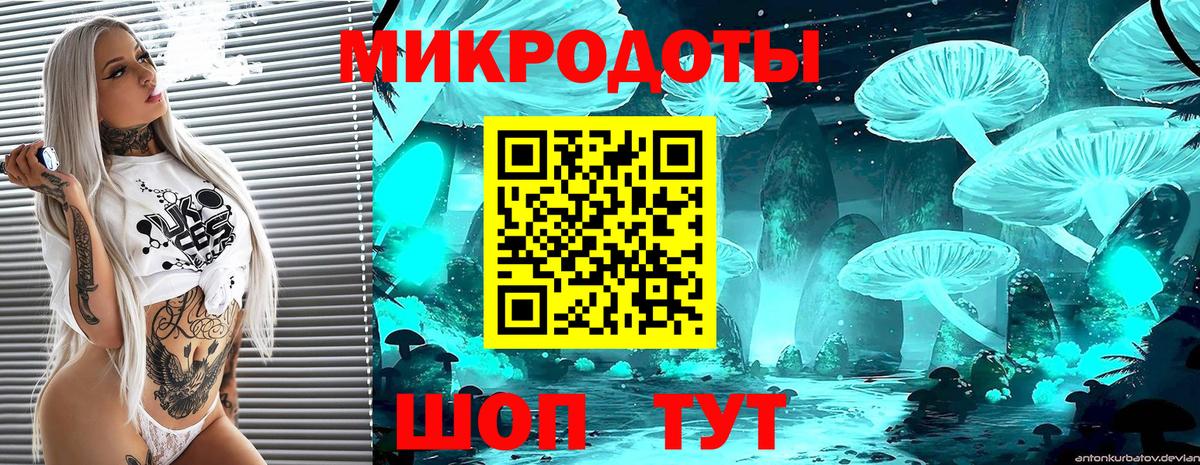 Галлюциногенные грибы Magic Shrooms Ейск