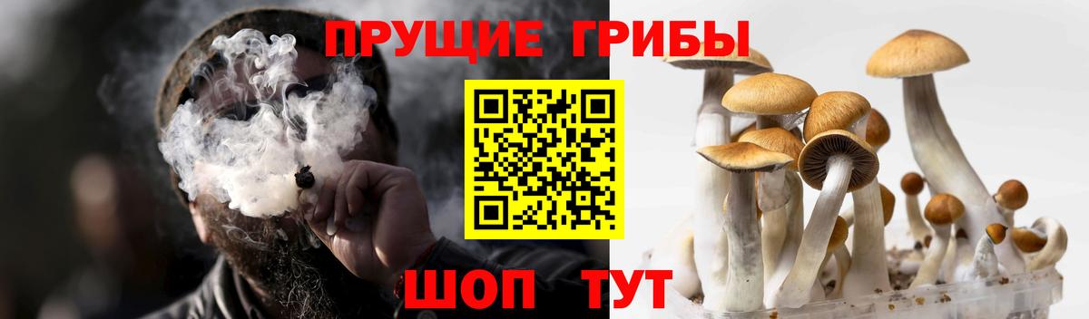 Ейск  Галлюциногенные грибы мухоморы  Вход с VPN 